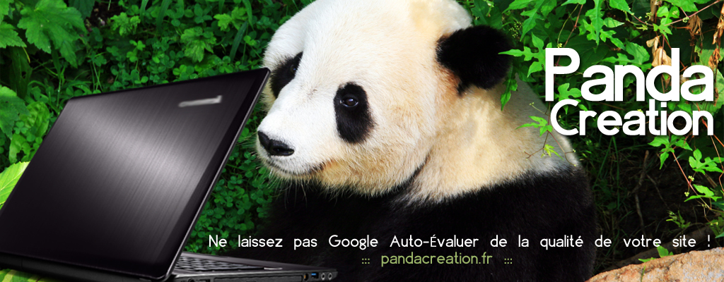 Google Panda